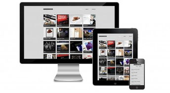 北京中聯(lián)科技網(wǎng)站APP小程序SEO優(yōu)化建設設計定制開發(fā)公司